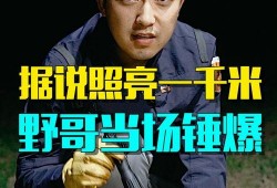 野哥最新爆料,娱乐圈最新爆料大起底！