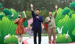 最新爆料新闻事件视频大全,新闻事件视频大全深度解析